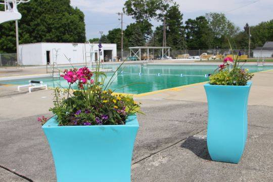 Prospect Sunswim Pool